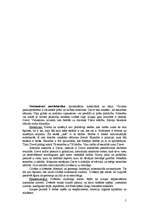 Referāts 'Filosofijas saturs un izglītība', 5.