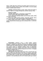 Referāts 'Filosofijas saturs un izglītība', 7.