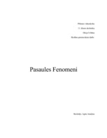 Referāts 'Pasaules fenomeni', 1.