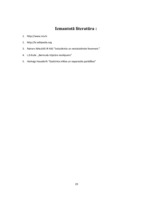 Referāts 'Pasaules fenomeni', 29.