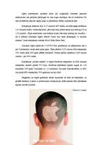 Referāts 'Apple', 25.