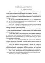 Referāts 'SIA "Lotra" rādītāju sistēmas aprēķins un novērtējums', 11.