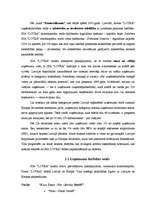 Referāts 'SIA "Lotra" rādītāju sistēmas aprēķins un novērtējums', 13.