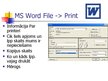 Prezentācija 'MS Word un Excel file print iespēju salīdzinājums', 9.