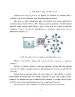 Paraugs 'Elektriskā strāva šķidrumos', 5.
