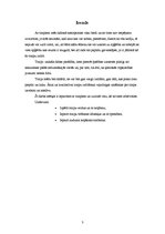 Referāts 'Traipu tīrīšana', 3.