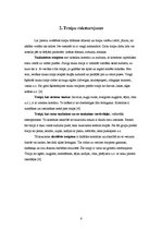 Referāts 'Traipu tīrīšana', 6.