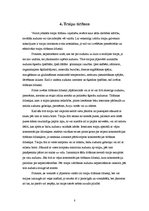 Referāts 'Traipu tīrīšana', 8.