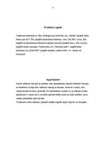 Prakses atskaite 'Viesu apkalpošana', 9.