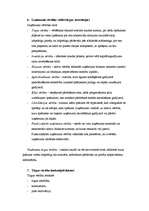 Konspekts 'Uzņēmumu vērtēšana Eiropas vidē. Eksāmena jautājumi', 3.