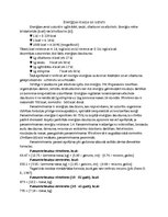 Referāts 'Pilnvērtīga uztura nodrošināšana', 1.