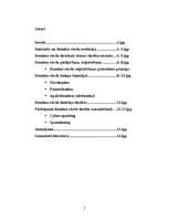 Referāts 'Domēna vārda tiesiskais regulējums', 2.