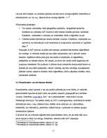 Referāts 'Domēna vārda tiesiskais regulējums', 11.