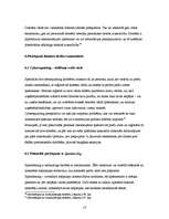 Referāts 'Domēna vārda tiesiskais regulējums', 13.