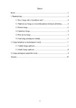 Referāts 'Līzinga paklpojumi un nosacījumi Latvijas līzinga sabiedrībās (vadošajās un ‘’ma', 2.