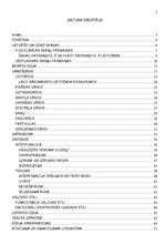 Konspekts 'Atgādnes. Latviešu valoda', 2.