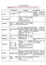 Konspekts 'Atgādnes. Latviešu valoda', 23.