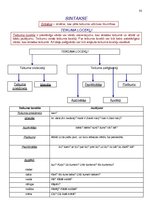 Konspekts 'Atgādnes. Latviešu valoda', 33.