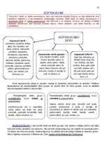 Konspekts 'Atgādnes. Latviešu valoda', 38.