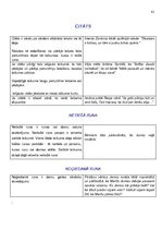 Konspekts 'Atgādnes. Latviešu valoda', 41.