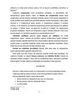 Referāts 'Uzņēmumu lēmumu vispārējā teorija. Lēmumu pieņemšanas process', 9.