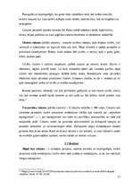 Referāts 'Latvijas Republikas ieslodzījuma vietu sistēmas raksturojums', 12.