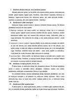 Referāts 'Jēdzienu iedalījums', 6.