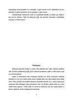 Referāts 'Jēdzienu iedalījums', 8.