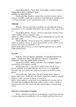 Referāts 'Nacionālā vēstures muzeja ekspozīcijā esošo rotas lietu un zoomorfo priekšmetu p', 6.