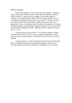 Referāts 'Nacionālā vēstures muzeja ekspozīcijā esošo rotas lietu un zoomorfo priekšmetu p', 8.