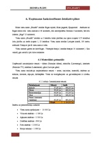 Biznesa plāns 'SIA "Brunīši" - viesu nams', 15.