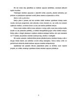 Referāts 'Reklāma kā mārketinga komunikāciju veids', 9.