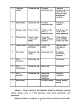 Referāts 'Reklāma kā mārketinga komunikāciju veids', 11.