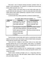 Referāts 'Reklāma kā mārketinga komunikāciju veids', 15.