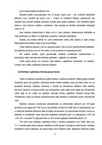 Referāts 'Reklāma kā mārketinga komunikāciju veids', 17.