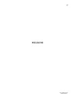 Referāts 'Sabiedrisko attiecību loma nevalstisko organizāciju komunikācijā', 17.