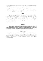 Referāts 'Maltā gaļa un tās izmantošana ēdienu gatavošanā', 8.