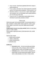 Konspekts 'Dinamiskie procesi mazajās grupās', 3.