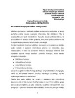 Konspekts 'Vai vēlēšanu kampaņas ietekmē vēlētāju izvēli', 1.