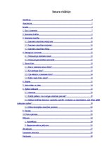 Referāts 'Bērnu un jauniešu drošība internetā', 2.