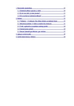 Referāts 'Bērnu un jauniešu drošība internetā', 3.