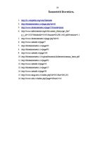 Referāts 'Bērnu un jauniešu drošība internetā', 28.