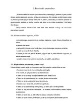 Referāts 'Bērnu un jauniešu drošība internetā', 30.