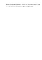 Referāts 'Bērnu un jauniešu drošība internetā', 34.