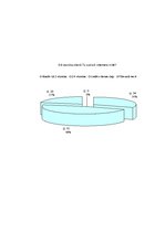 Referāts 'Bērnu un jauniešu drošība internetā', 41.