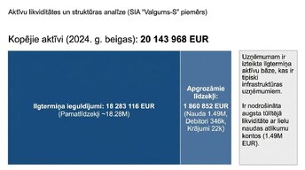 Prezentācija 'Aktīvi, saistības un pašu kapitāls', 5.