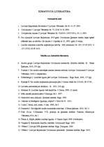 Referāts 'Laulāto kopmantas dalīšana tiesas ceļā', 16.