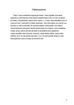 Referāts 'Valsts pazīmju raksturojums', 4.