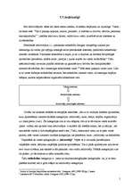 Referāts 'Valsts pazīmju raksturojums', 5.