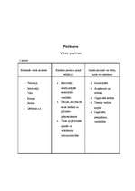 Referāts 'Valsts pazīmju raksturojums', 13.